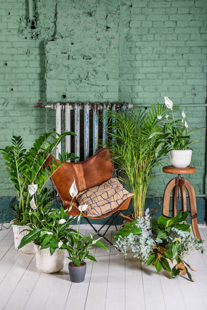 Green plants at home. Interior of a room with leather vintage chair. Brick wall background. - Zdjęcie, obraz
