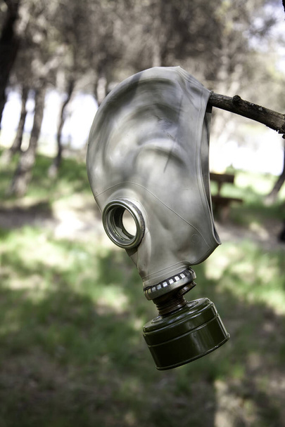 Maska gazowa na pandemię, katar i wąglik, wojna bakteriologiczna - Zdjęcie, obraz