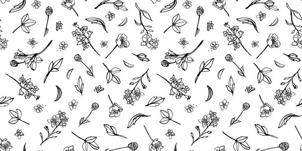 Botany wild flower nature pattern - Vector, Image