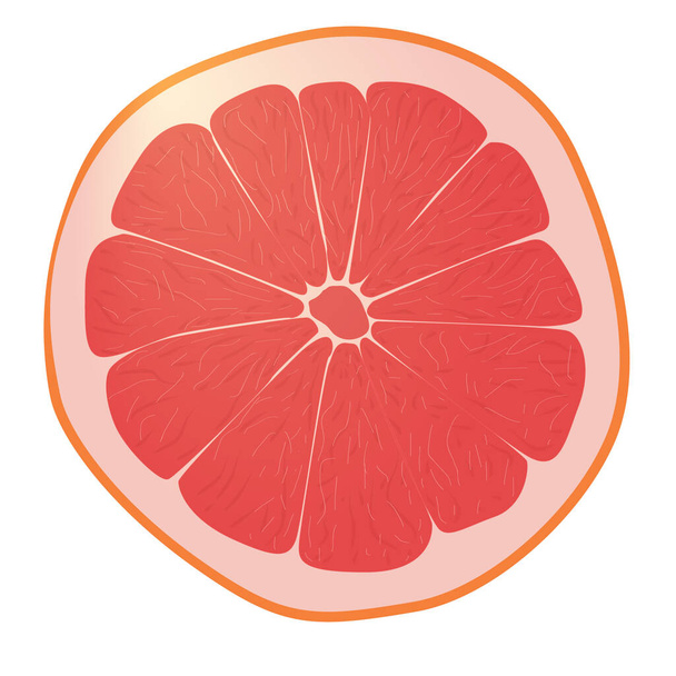 Realistic citrus image. Red oranges fruits isolated on white background. - Vektor, Bild