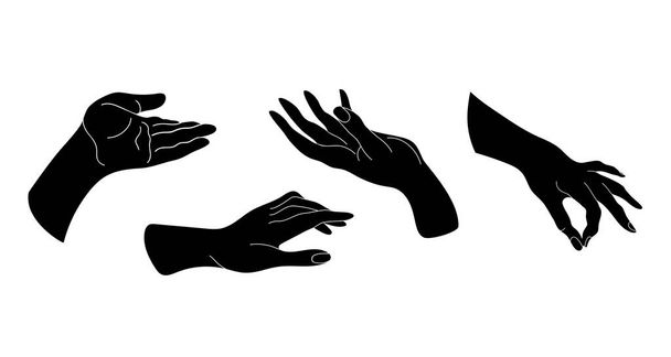 Conjunto de imágenes de manos. Diferentes posiciones de las manos
. - Vector, Imagen