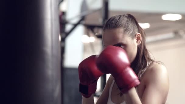 Female boxer hitting a huge punching bag at a boxing studio. Woman boxer training hard. - Materiał filmowy, wideo