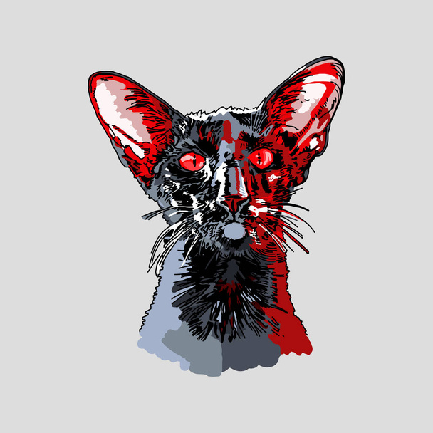 カラフルな猫のイラスト、 Tシャツのデザインのためのヴィンテージグラフィック - ベクター画像