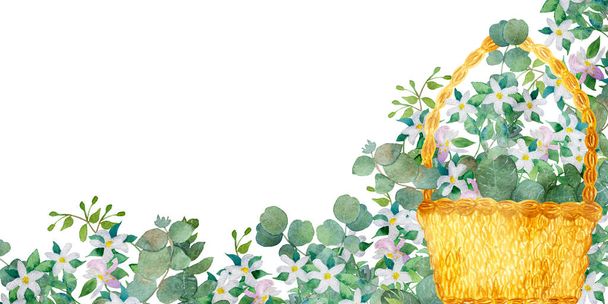Watercolor hand painted nature floral composition with green eucalyptus leaves on branch, white bergamot blossom flowers in yellow straw wicker basket on the white background with space for text - Foto, Imagem