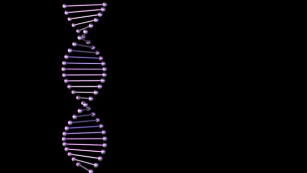 DNA streng spinnnig op een zwarte achtergrond. - Video