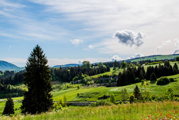 прекрасный вид на горы вокруг плато Азиаго с зелеными пастбищами с желтыми и белыми цветами, сосновые леса голубое небо с белыми облаками, Виченца, Венето, Италия
 - Фото, изображение