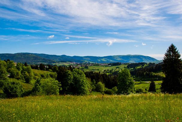 meravigliosa vista sulle montagne intorno all'altopiano di Asiago con pascoli verdi con fiori gialli e bianchi, le pinete il cielo azzurro con nuvole bianche, Vicenza, Veneto, Italia
 - Foto, immagini