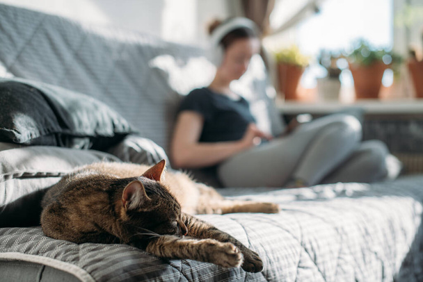 A cat and a girl are sitting on a sofa with a phone in their hands. A young woman is relaxing at home, listening to music on headphones, watching videos on a smartphone - Fotó, kép