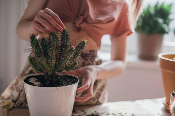 Fiatal női kaktuszok otthon. Közelkép a kézről. Gyönyörű lány a munkahelyén, házi növényekkel a lakásban. Tavaszi cserepes virágellátás - Fotó, kép