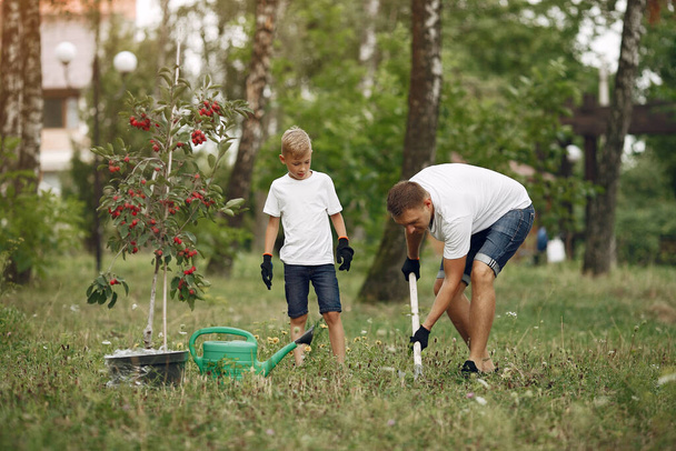 Father with little son are planting a tree on a yard - Фото, изображение