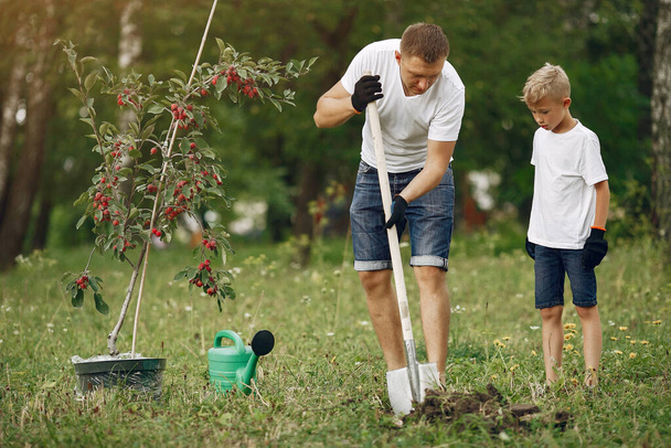 Father with little son are planting a tree on a yard - Photo, image