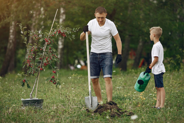 Father with little son are planting a tree on a yard - Φωτογραφία, εικόνα