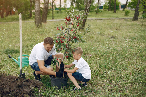 Father with little son are planting a tree on a yard - Fotografie, Obrázek