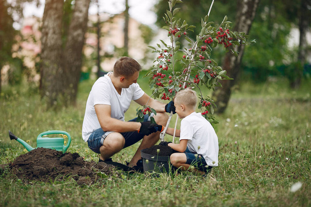 Vater mit kleinem Sohn pflanzen Baum auf Hof - Foto, Bild