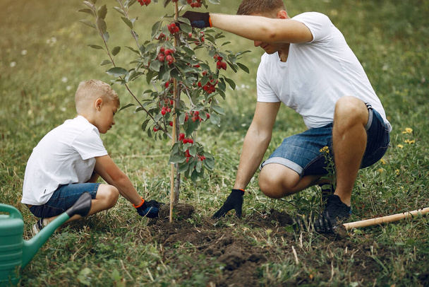 Father with little son are planting a tree on a yard - Fotó, kép