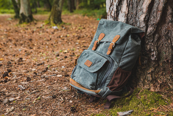 hiking backpack near tree in forest hiking concept - Photo, Image