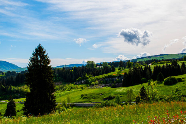 wonderful view of the mountains around the Asiago plateau with green pastures with yellow and white flowers, the pine forests the blue sky with white clouds, Vicenza, Veneto, Italy - Photo, Image