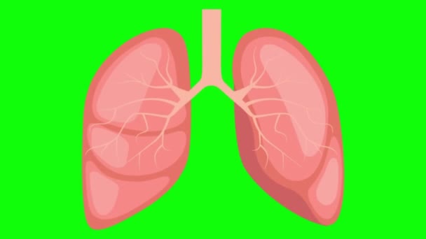 πράσινη οθόνη, ιός του στέμματος, οι πνεύμονες - Πλάνα, βίντεο