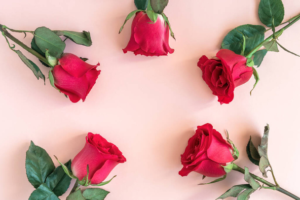 Квіткова композиція. Квіти червоної троянди лежать у формі кола на м'якому рожевому фоні. Свято фону. Мінімальна концепція. Плоский простір, вид зверху, простір для копіювання
. - Фото, зображення