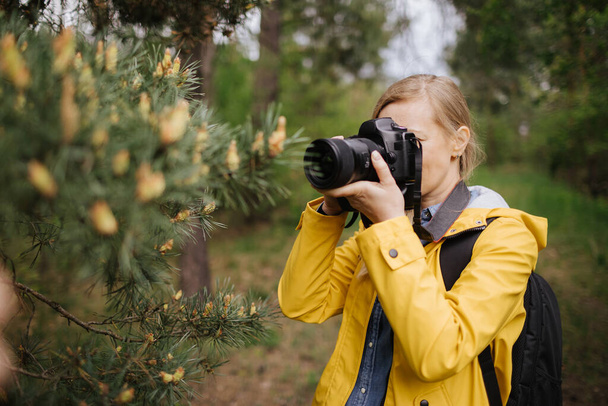 Female photographer taking pictures of cones on pine tree - Photo, Image