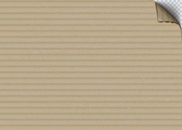 カールコーナーリアルなベクトル背景を持つ段ボール紙 - ベクター画像