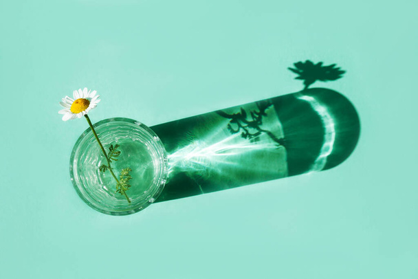 A glass of water with one chamomile flower casts a shadow. Green background for your creative idea - Фото, изображение