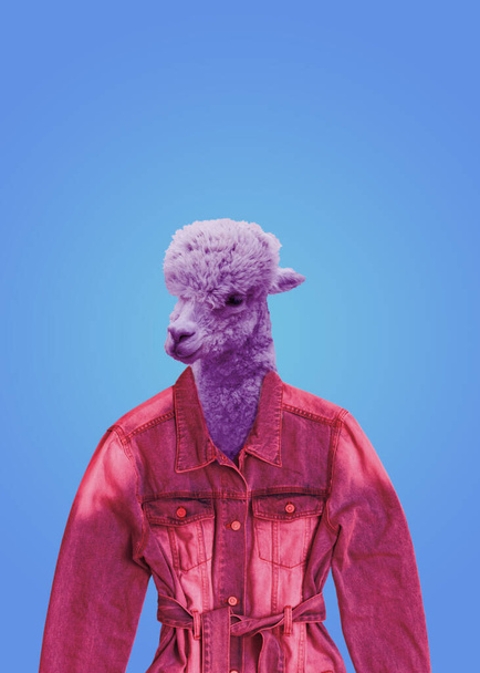 A tinted image of an Alpaca head in a denim jacket. - Photo, Image