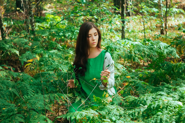 Ελκυστικό κορίτσι σε ένα πράσινο μεσαιωνικό φόρεμα κάθεται στους θάμνους της φτέρης. Χωριάτισσα βοτανολόγος συλλέγει βότανα για το φίλτρο στο δάσος. - Φωτογραφία, εικόνα