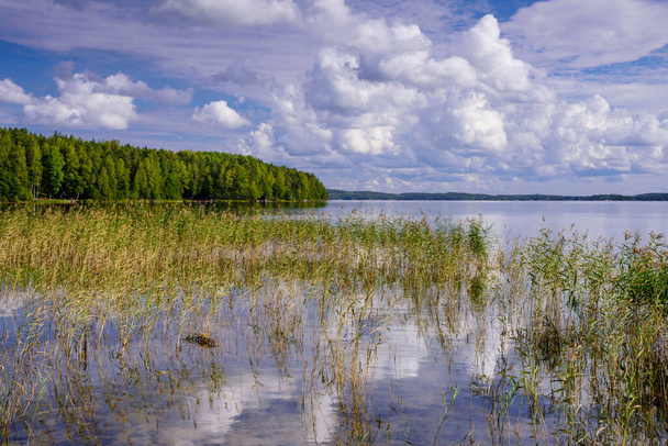 Piękne leśne jezioro w Finlandii. Tradycyjna fińska przyroda, piękny letni krajobraz. - Zdjęcie, obraz
