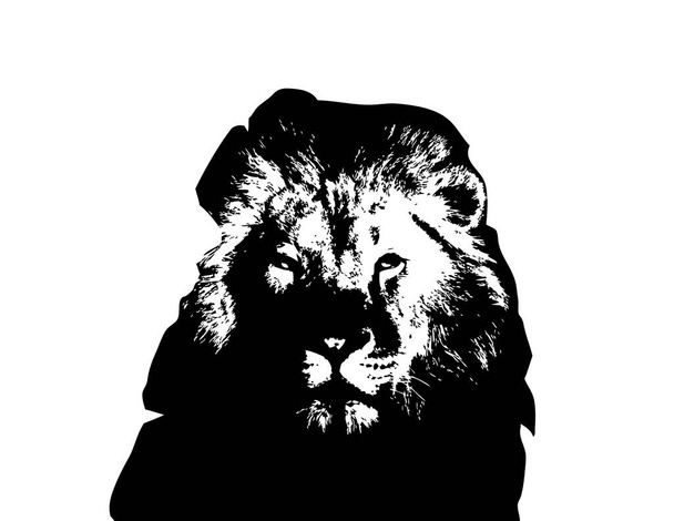 leijona taide kuvitus piirustus grunge vuosikerta
 - Valokuva, kuva
