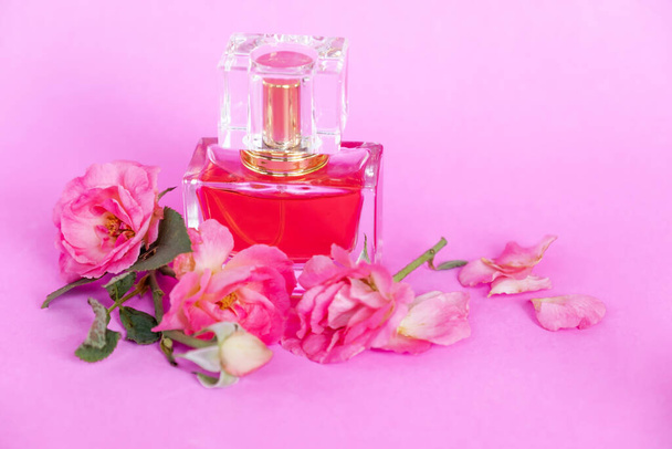 Essential oil, Rose flower, Rose perfume on pink background, spa aromatherapy. - Photo, Image