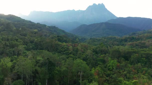 Aerial drone footage of beautiful rural Village with green forest and clean river with Majestic Mount Kinabalu View. - Footage, Video