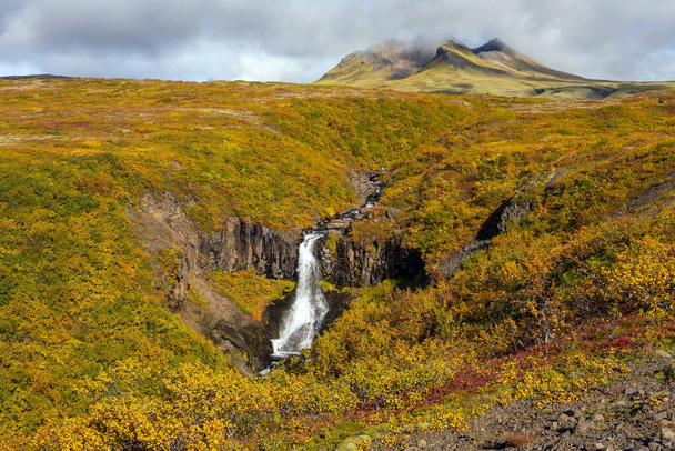 Svartifoss en Islande. Cascade dramatique entourée de colonnes hexagonales noires de lave de basalte
. - Photo, image