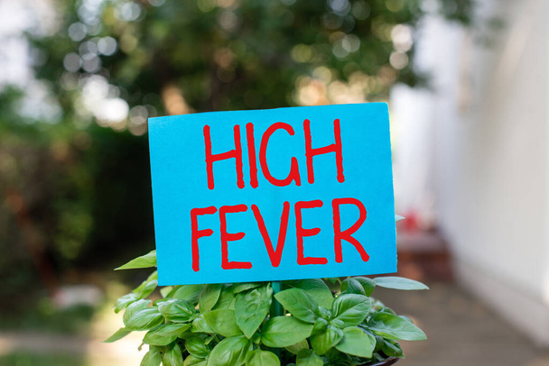 Writing note showing High Fever. Business photo showcasing medical condition which the body temperature higher than usual Plain paper attached to stick and placed in the grassy land. - Photo, Image