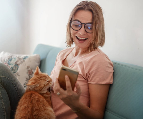 ガラスの中のかなり幸せな成熟した女性は、彼女の膝の上に国内の赤い猫と彼女の手の中にスマートフォンを持つ青いソファに座っています。自宅に座っている間、オンラインショッピングやオンラインニュース - 写真・画像