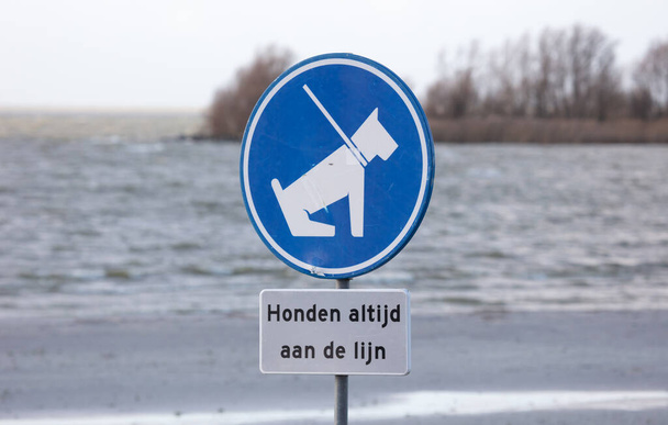 İmza, köpeğe sahilde tasma tak (Flemenkçe çevirisi) - Fotoğraf, Görsel
