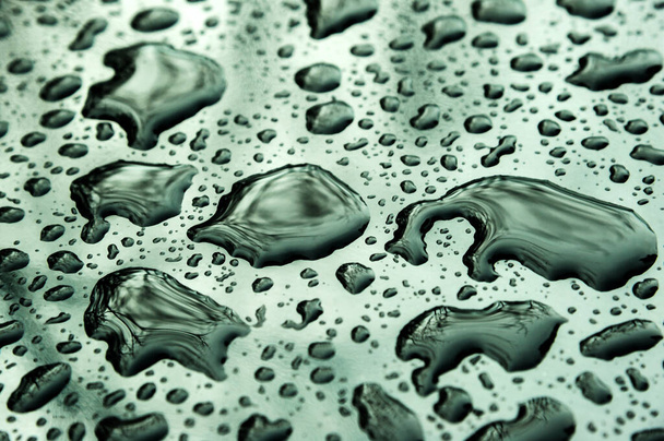 Abstract Background of raindrop early morning after heavy  rain - Photo, Image