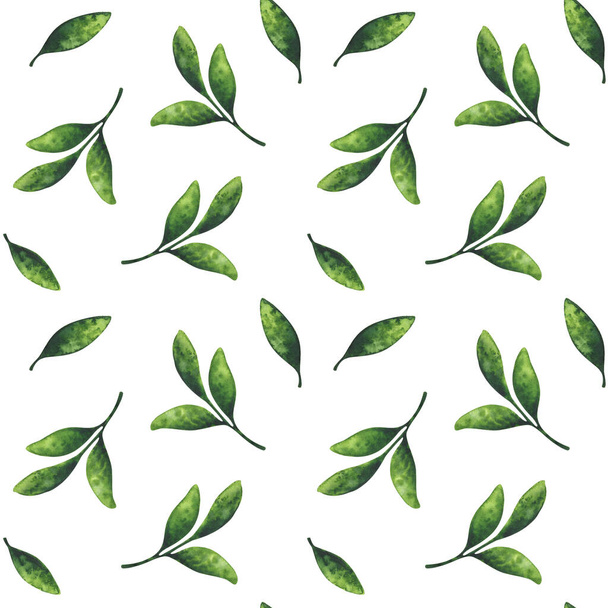 Green leaf. Seamless pattern with a watercolor illustration on a white background. Eco-friendly plant ornament. Minimalistic, chaotic pattern for a stylish print. - Valokuva, kuva