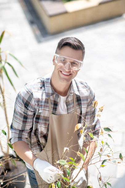 Happy dark-haired male in protective glasses and gloves holding ficus branches outside, smiling - Foto, imagen