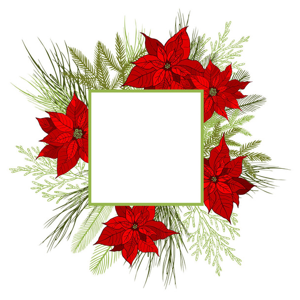 Vector frame with Christmas plants. Hand-drawn ilustration. - Vector, Image