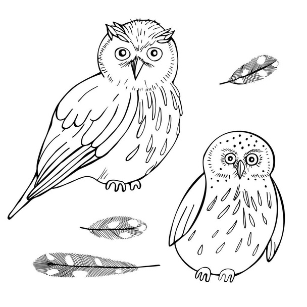 Owls  set. Vector  illustration.  - Vecteur, image