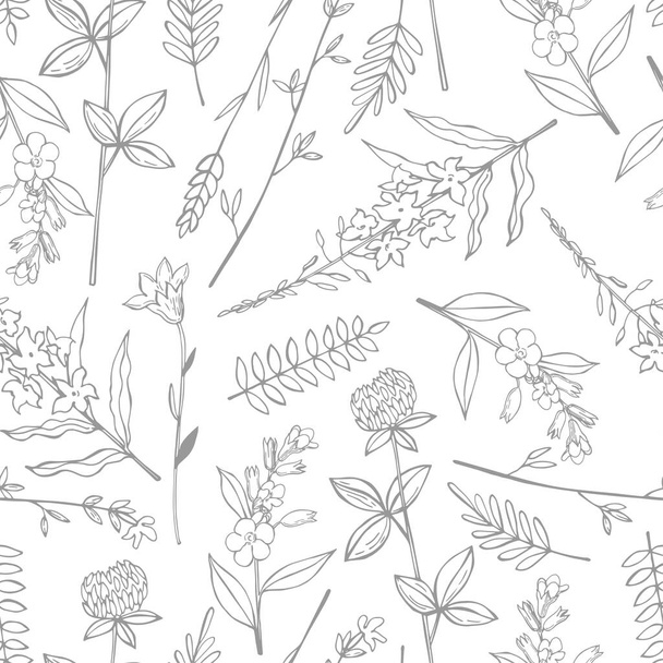 Vector seamless pattern with hand drawn wild herbs and flowers. - Vetor, Imagem