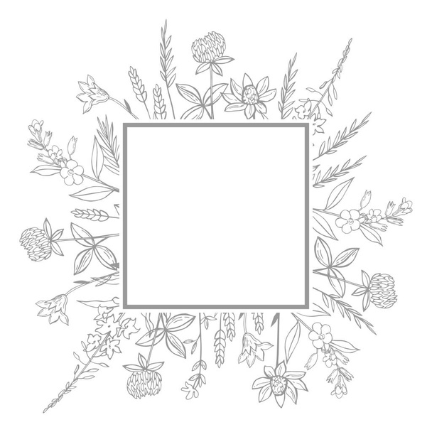  Cadre vectoriel avec des herbes sauvages dessinées à la main et des fleurs
. - Vecteur, image