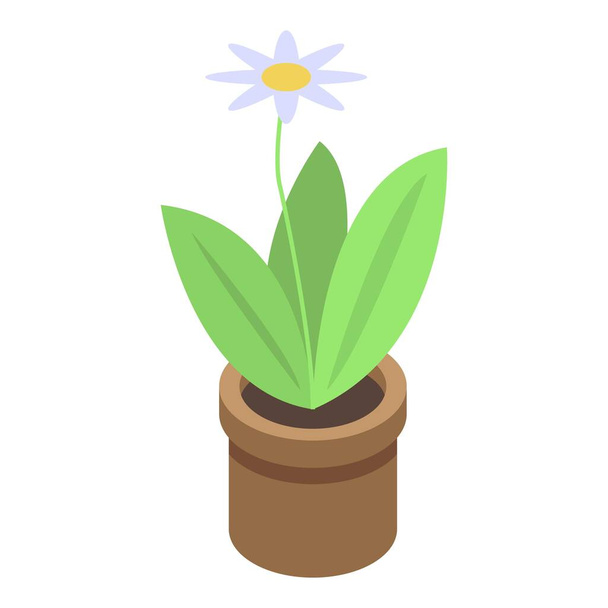 Home flower pot icon, isometric style - Vecteur, image