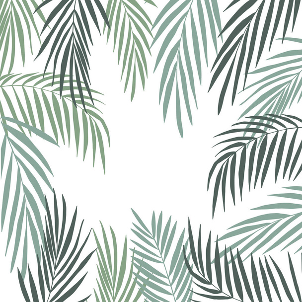 Fondo vectorial con plantas tropicales dibujadas a mano. Hojas de palmera
. - Vector, imagen