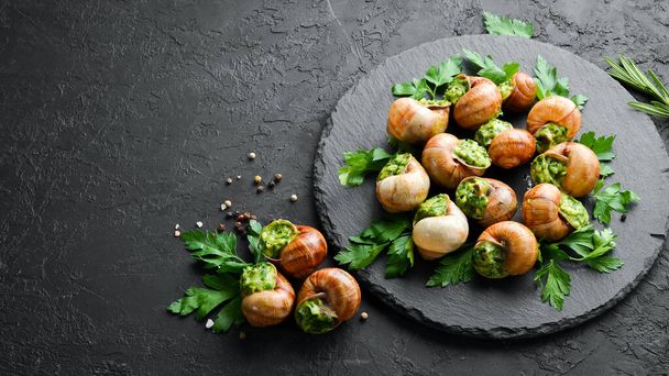 Snails baked with sauce. Baked snails with butter and spice. Top view. Free space for your text. - Zdjęcie, obraz