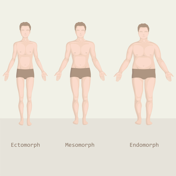 άνθρωπος σωματότυπο, από fat σε γυμναστήριο, πριν και μετά - Διάνυσμα, εικόνα