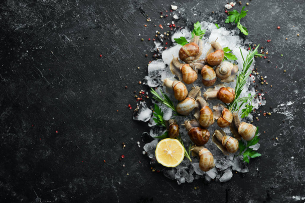 Edible Snails on Ice with Parsley and Lemon. Traditional French cuisine. Top view. - Φωτογραφία, εικόνα