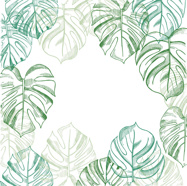 Vector background  wit hand drawn tropical plants. Monstera plant. - Vector, Image