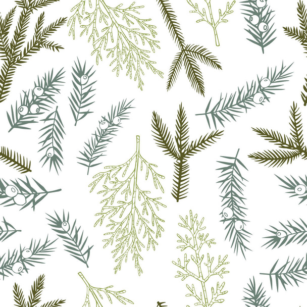  Векторный бесшовный рисунок с нарисованными вручную рождественскими растениями. - Вектор,изображение